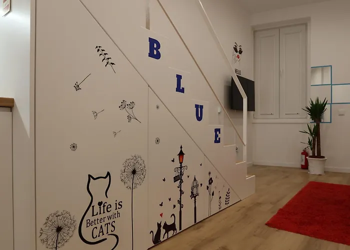 Blue Boavista פורטו